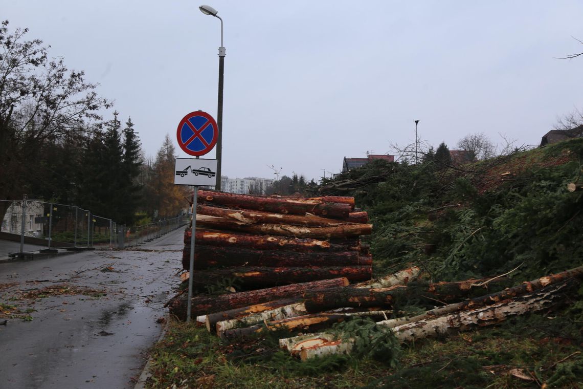 Na terenie szpitala ruszyła wycinka drzew [FOTO]