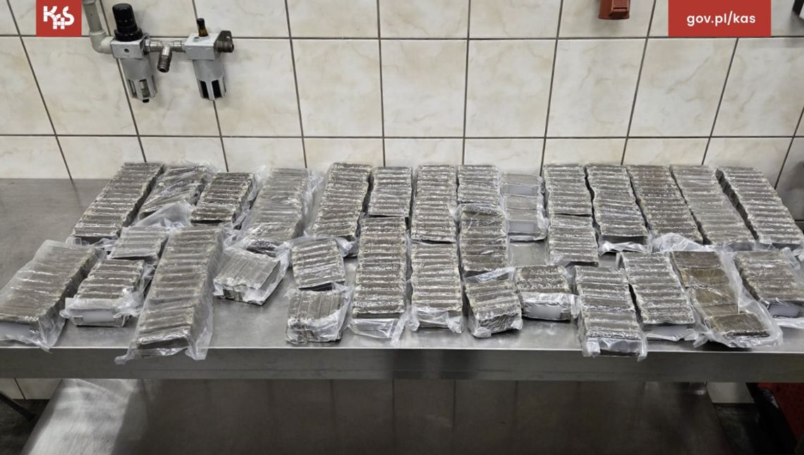 Naloty w Elblągu po zatrzymaniu na granicy