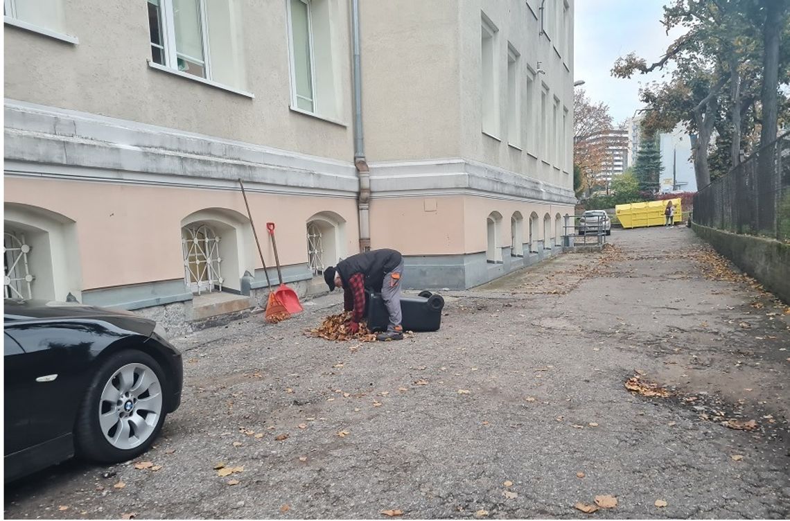 Nawet 5 tysięcy zł grzywny. Straż Miejska w Elblągu przypomina o liściach