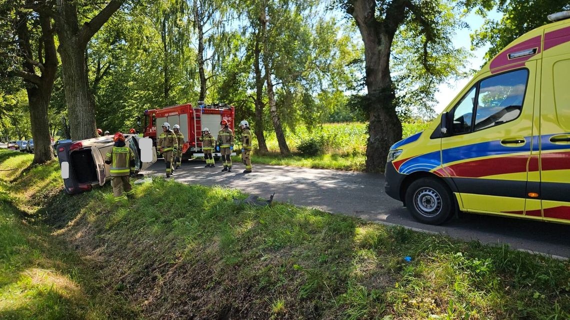 Niebezpieczne zdarzenie pod Fromborkiem. Auto uderzyło w drzewo Niebezpieczne zdarzenie pod Fromborkiem. Auto uderzyło w drzewo