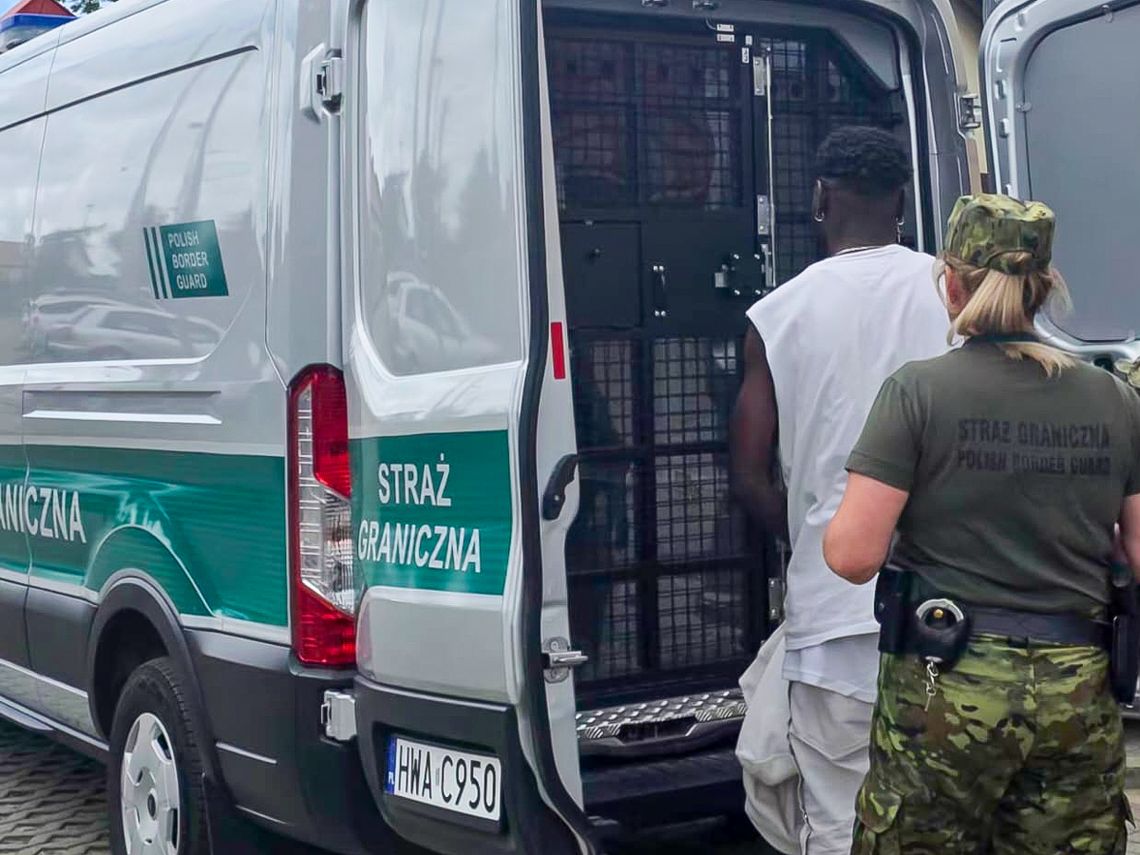 Nielegalny pobyt i narkotyki. Śledczy weszli do mieszkania w Elblągu