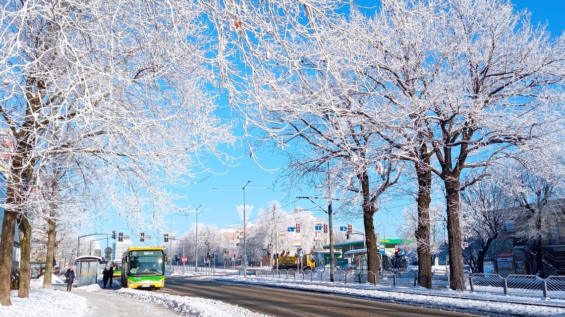 Od 1 stycznia nowe bilety w komunikacji miejskiej