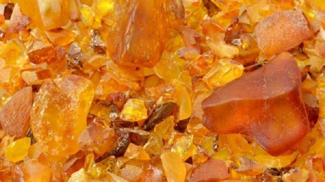 Odkryto bursztyn w Mierzei Wiślanej!