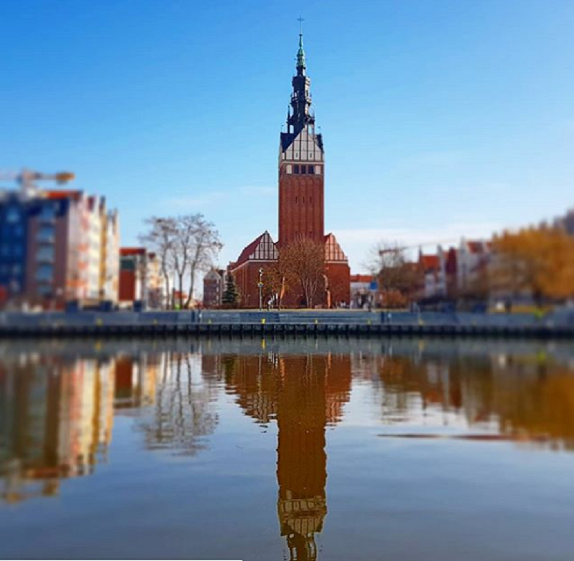 Ogród społeczny dla Zawodzia Ogród społeczny dla Zawodzia