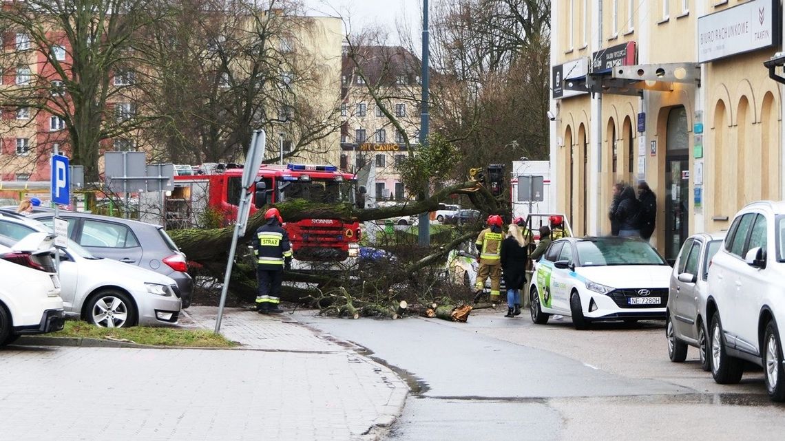 Ostrzeżenie dotyczące gwałtownych wichur! Ostrzeżenie dotyczące gwałtownych wichur!