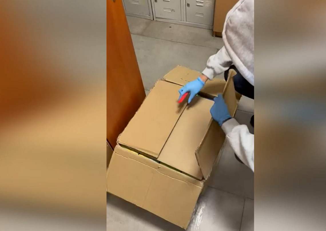 Paczka z Niemiec trafiła pod lupę celników