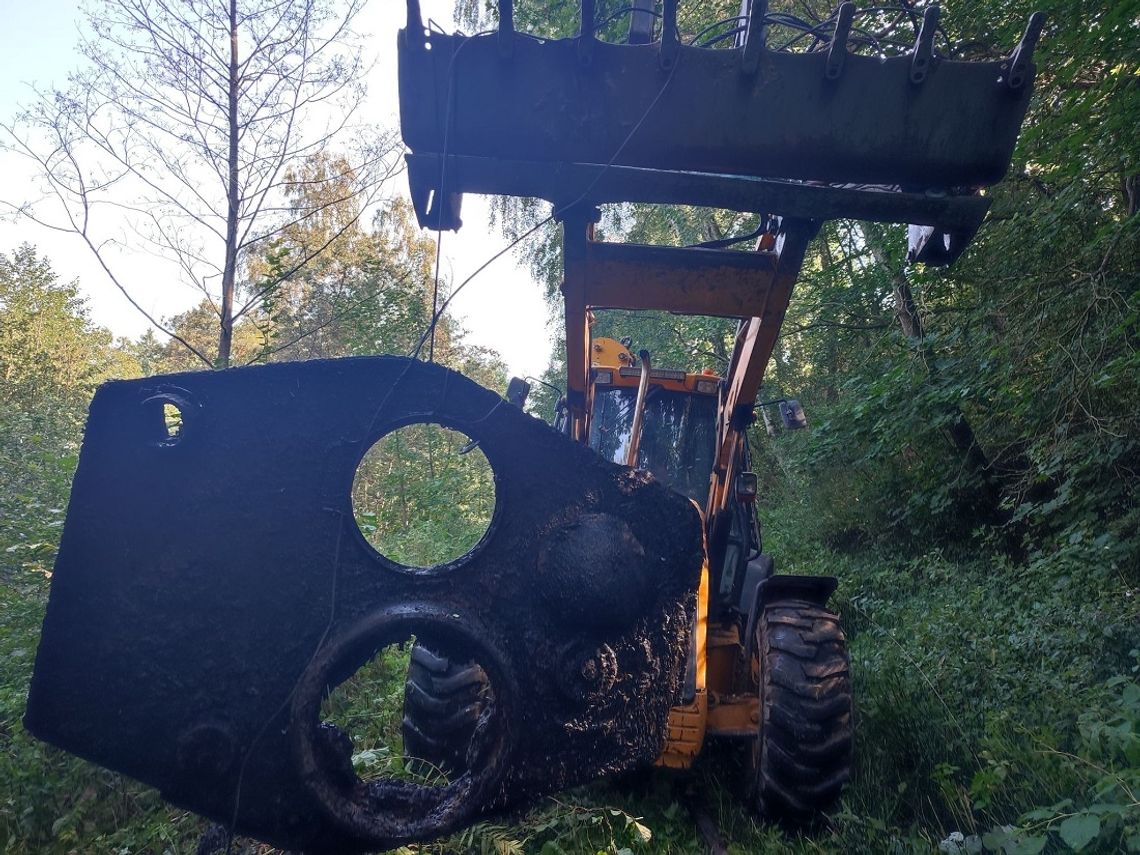 Pancerne trofeum z bagna