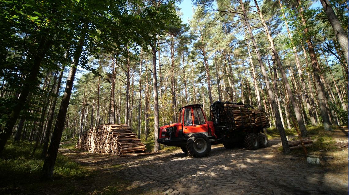 Poradnik - jak kupować drewno? Poradnik - jak kupować drewno?