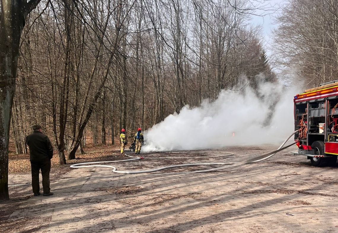 Pożar samochodu elektrycznego. Zapalił się na parkingu