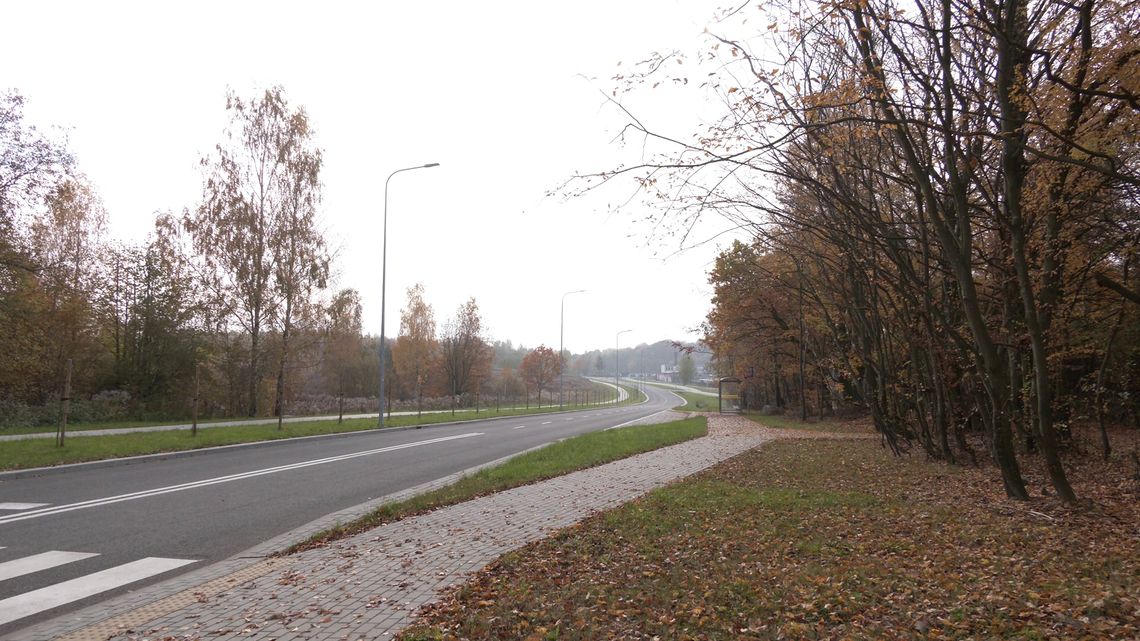 Przestrzeń do aktywności kulturalnej na Zatorzu, Obwodnica Wschodnia, remonty ulic. Oto, kolejna pula spraw z jakimi mierzą się elbląscy radni