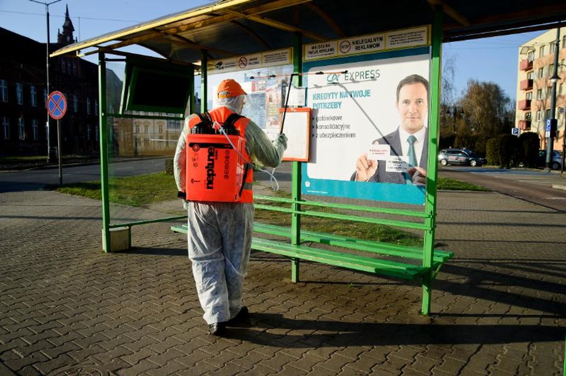 Przystanki w czasie epidemii. Dziś odbyła się dezynfekcja [ZDJĘCIA]