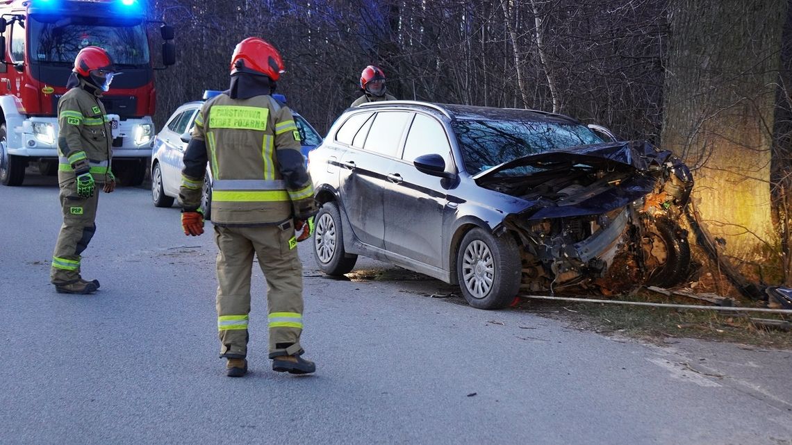 Rozbił się na drzewie Rozbił się na drzewie