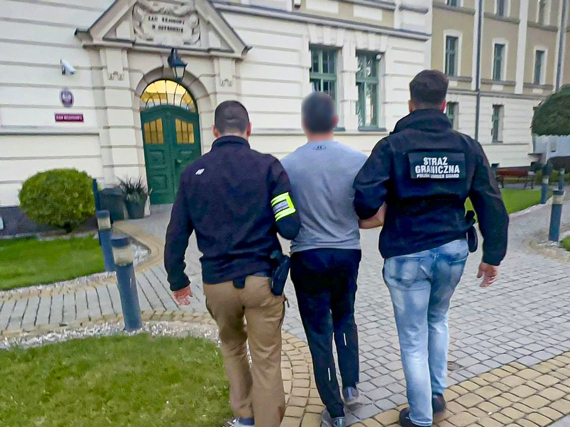 Rozbita polsko-litewska grupa tytoniowa Rozbita polsko-litewska grupa tytoniowa