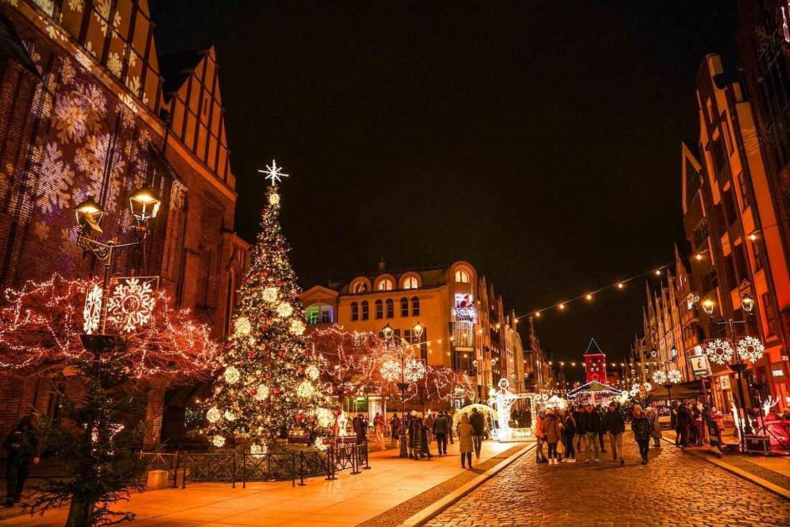 Rozświetlenie choinki w Elblągu już za tydzień [PROGRAM]