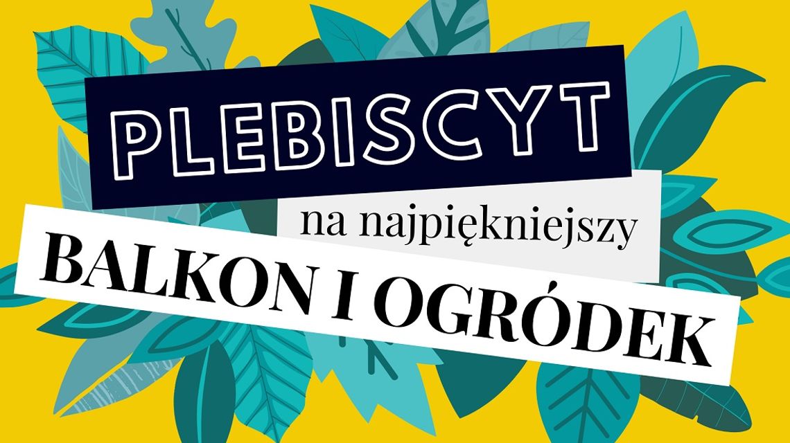 Rusza Plebiscyt na najpiękniejszy balkon i ogródek na terenie gminy Elbląg!