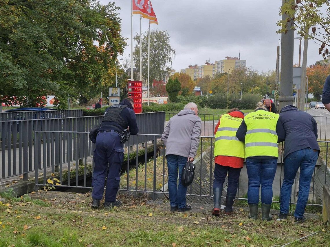 Rzeka Kumiela zanieczyszczona. Na miejscu pracują służby Rzeka Kumiela zanieczyszczona. Na miejscu pracują służby