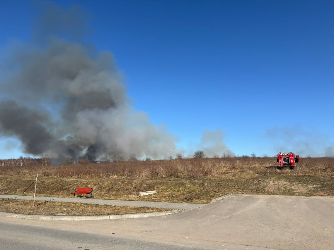 Strażacy powstrzymali ogień przed cmentarzem