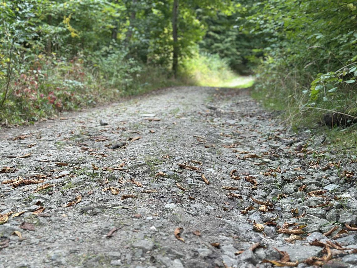 Ścieżka pieszo-rowerowa na zboczu Góry Chrobrego Ścieżka pieszo-rowerowa na zboczu Góry Chrobrego