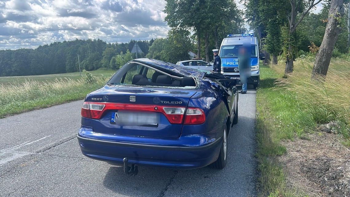 Sekundy od tragedii. Drzewo runęło prosto na jadącego Seata! Sekundy od tragedii. Drzewo runęło prosto na jadącego Seata!