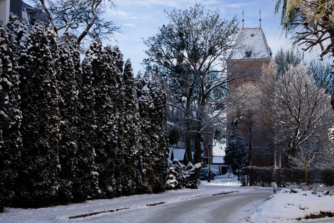 Służby zaczynają całodobowe dyżury