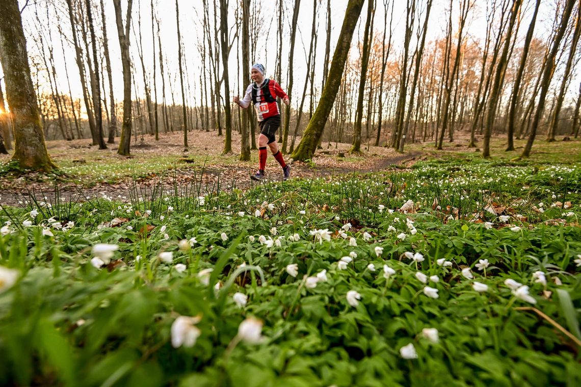 Sportowa wizytówka regionu. Meble Wójcik Ultra Wysoczyzna już w ten weekend