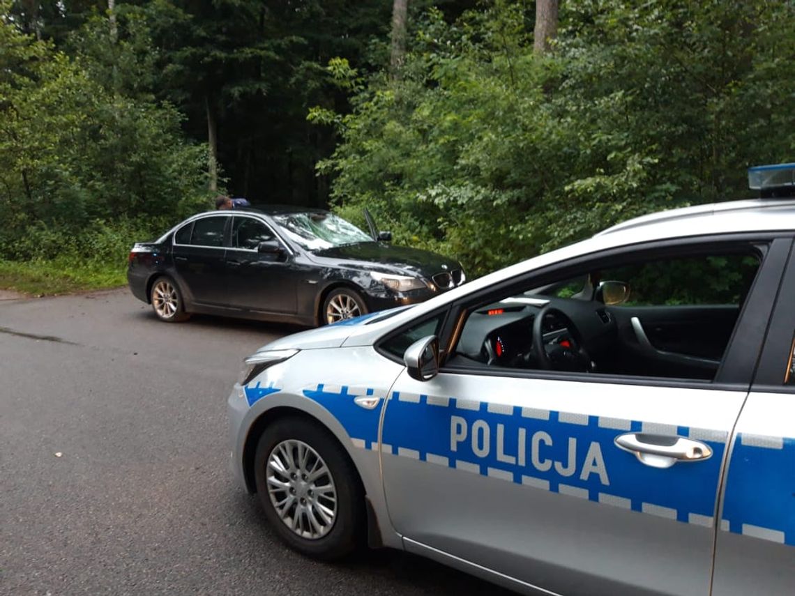 Stegna: Wjechał na chodnik i potrącił pieszych