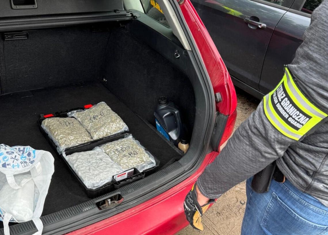 Straż Graniczna z Elbląga przechwyciła narkotyki na trójmiejskiej obwodnicy