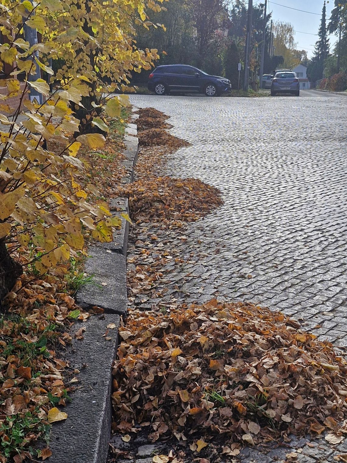 Straż Miejska przypomina: twój chodnik, twoja odpowiedzialność