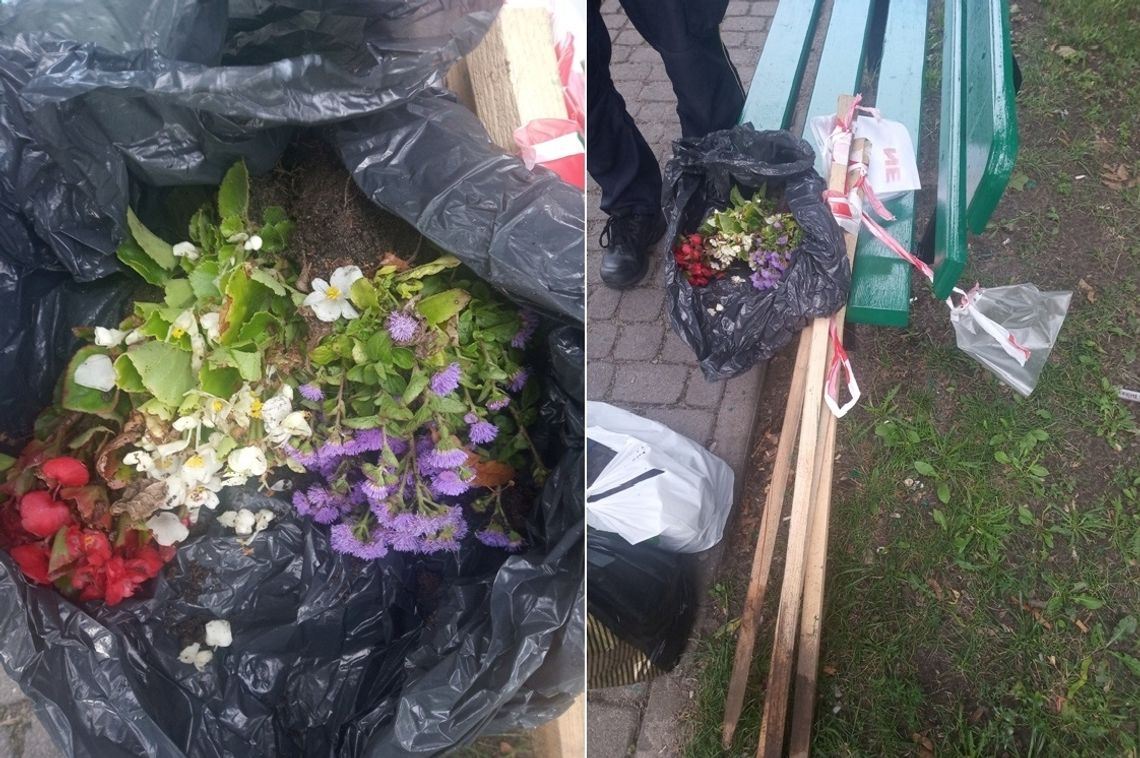 Strażnicy przyłapali go na „robieniu porządków” w parku