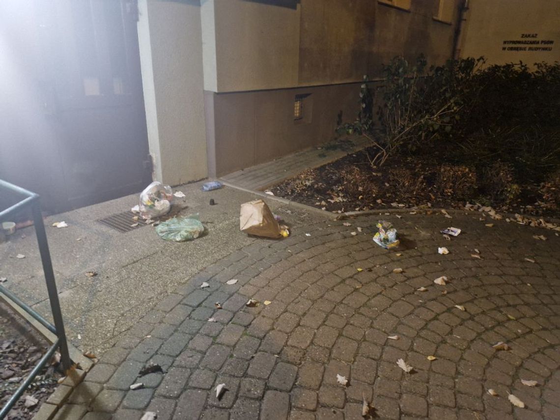 Strażnikom miejskim powiedziała, że małpy rozrzuciły odpady.... Strażnikom miejskim powiedziała, że małpy rozrzuciły odpady....