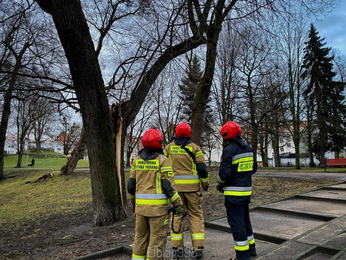 Synoptycy wydali alert dla powiatu elbląskiego Synoptycy wydali alert dla powiatu elbląskiego
