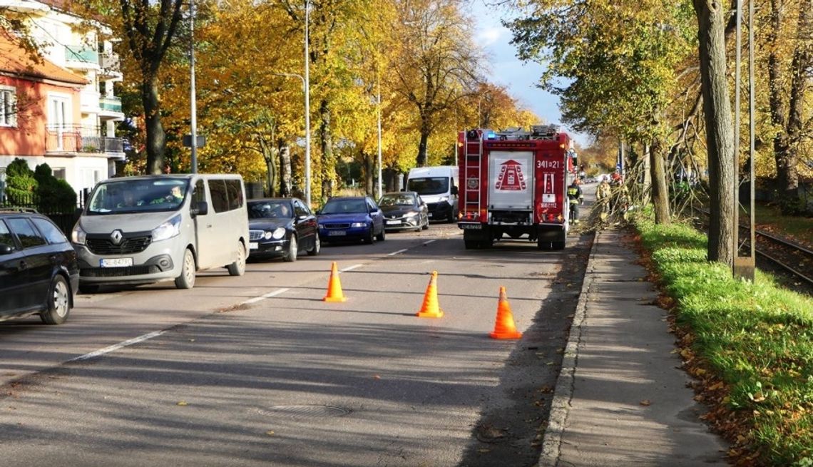 Synoptycy wydali ostrzeżenie dla Elbląga i okolic