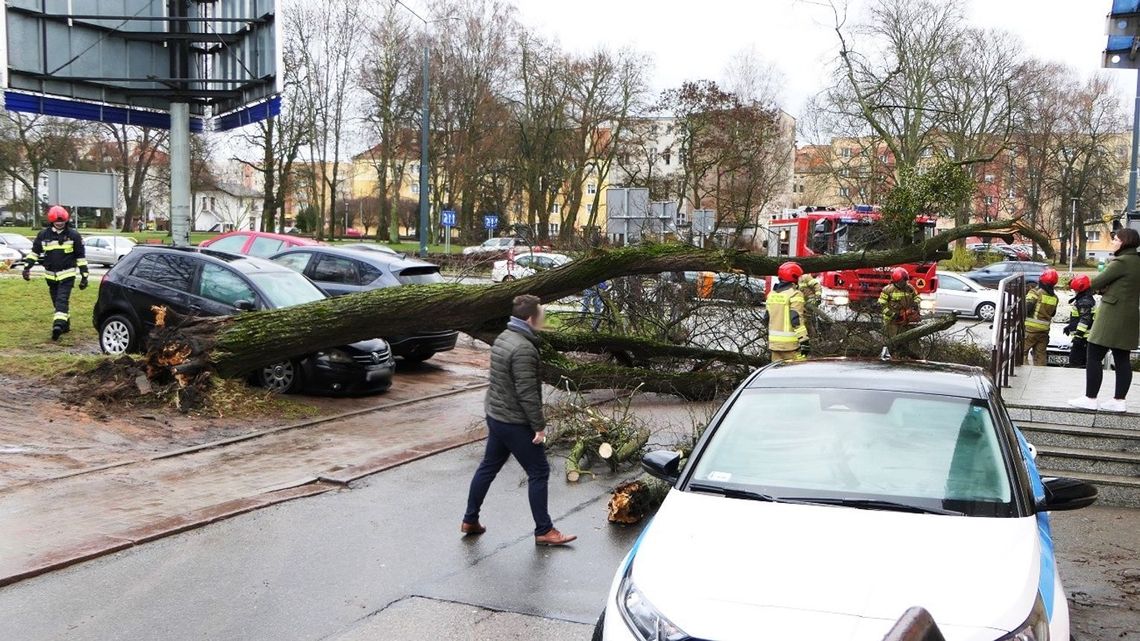 Synoptycy wydali ostrzeżenie dla Elbląga. Nawet do 100 km/h! Synoptycy wydali ostrzeżenie dla Elbląga. Nawet do 100 km/h!