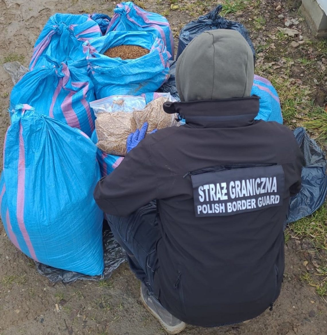 Szedł z workiem. Przeszukali mu samochód i pomieszczenie mieszkalne Szedł z workiem. Przeszukali mu samochód i pomieszczenie mieszkalne