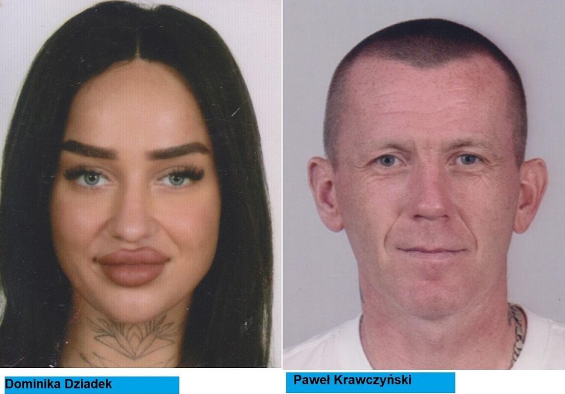 Szuka ich elbląska policja Szuka ich elbląska policja