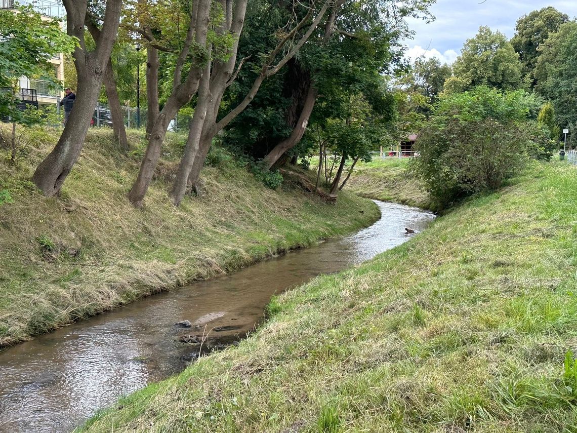Trwa oczyszczanie rzeki Kumieli Trwa oczyszczanie rzeki Kumieli