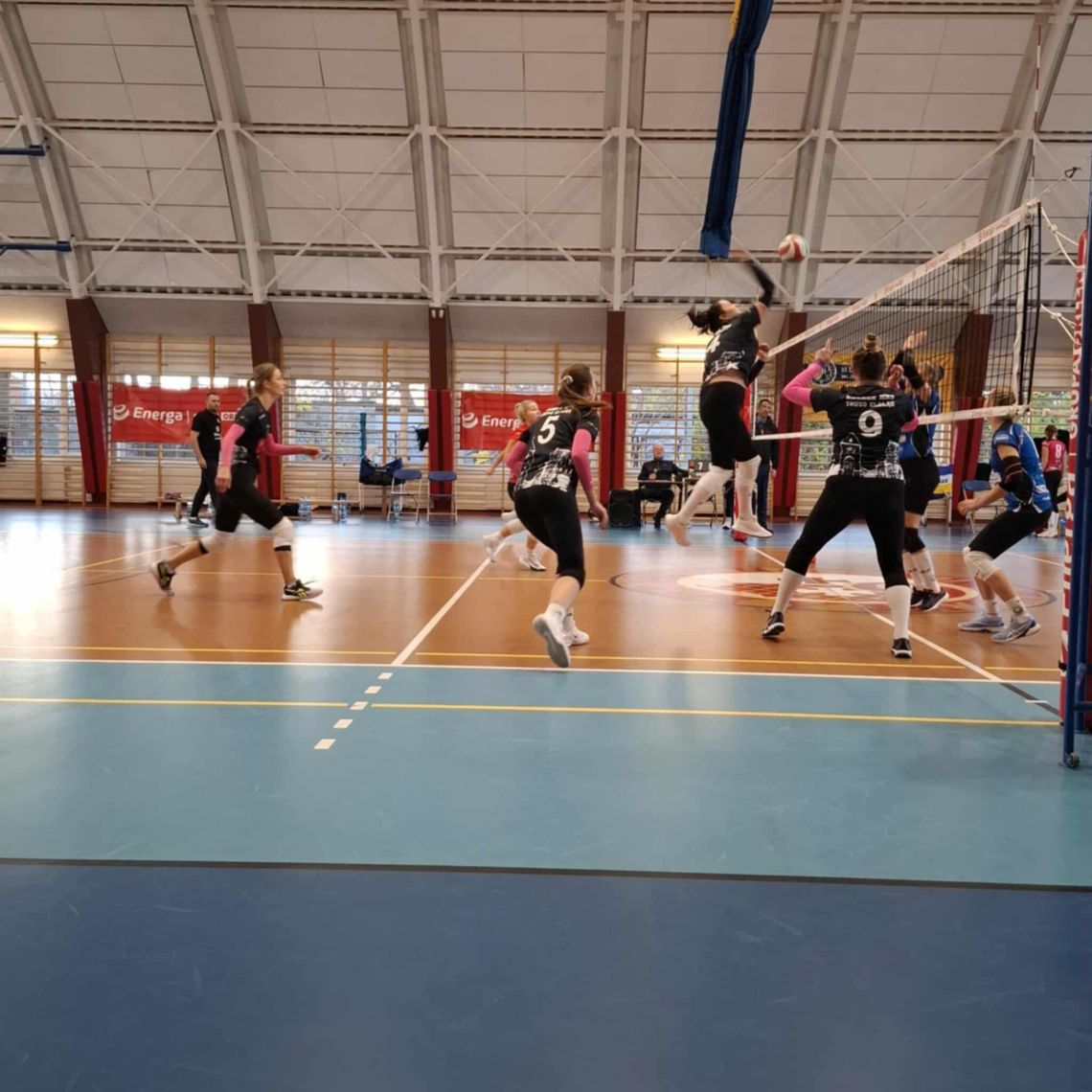 Trzy sety, trzy punkty. Energa MKS Truso Elbląg umacnia pozycję w tabeli