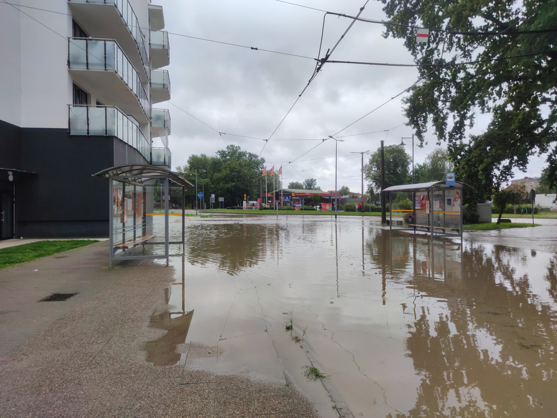 Tymczasowe zmiany w komunikacji w Elblągu Tymczasowe zmiany w komunikacji w Elblągu