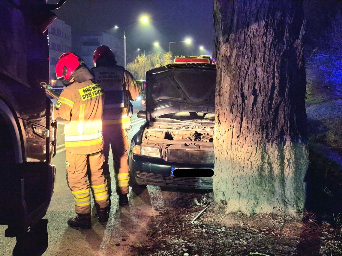 Uderzył w drzewo na Fromborskiej Uderzył w drzewo na Fromborskiej