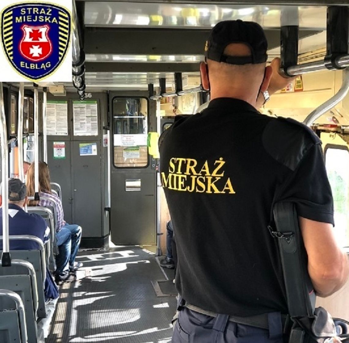 Uwaga! Ruszyły kontrole elbląskiej Straży Miejskiej w autobusach i tramwajach