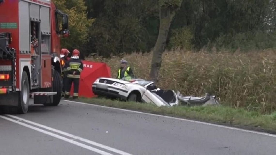 W tym roku zaczną prostować drogę Elbląg-Malbork!