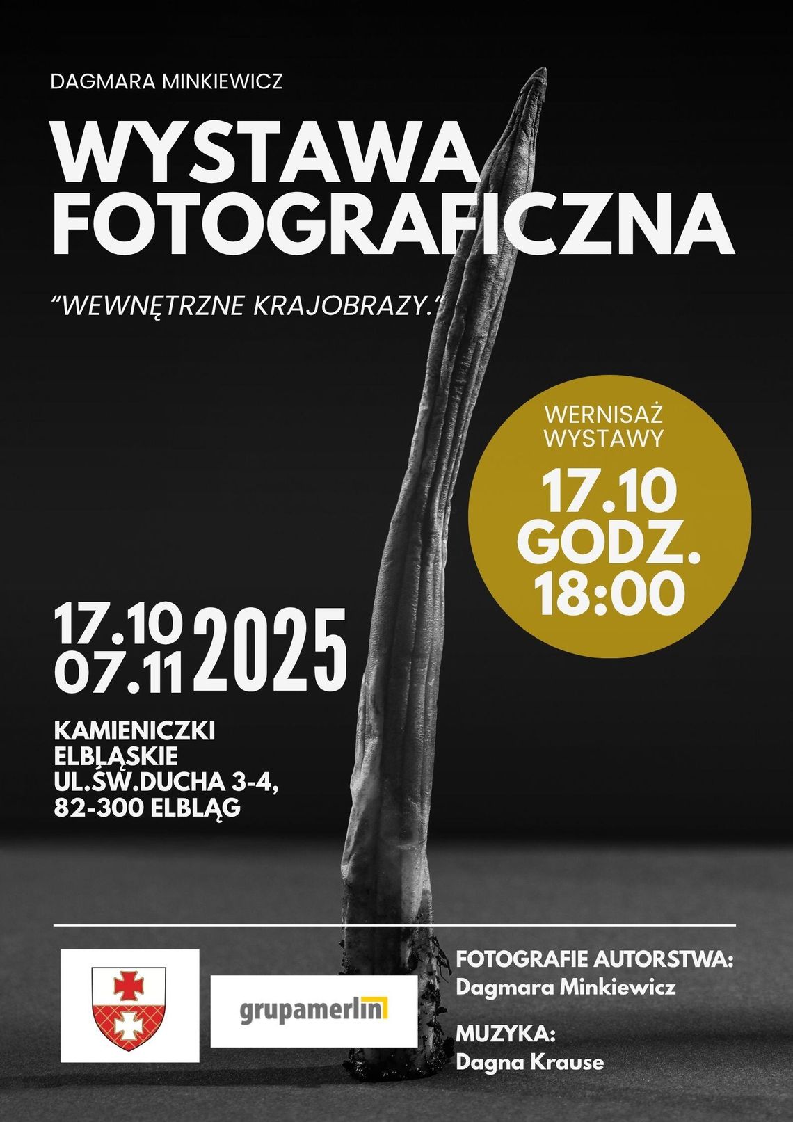 Wewnętrzne krajobrazy – fotografia w rytmie ciszy i emocji
