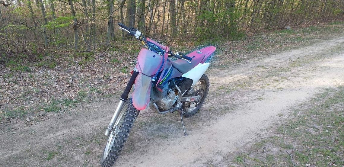 Wpadli w pułapkę w lesie Wpadli w pułapkę w lesie