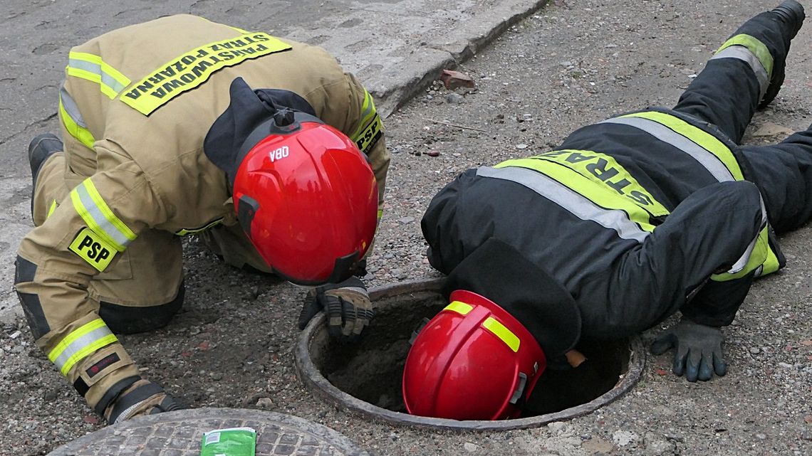 Wspólna akcja strażaków i pracowników OTOZ Animals na ulicy Szarych Szeregów