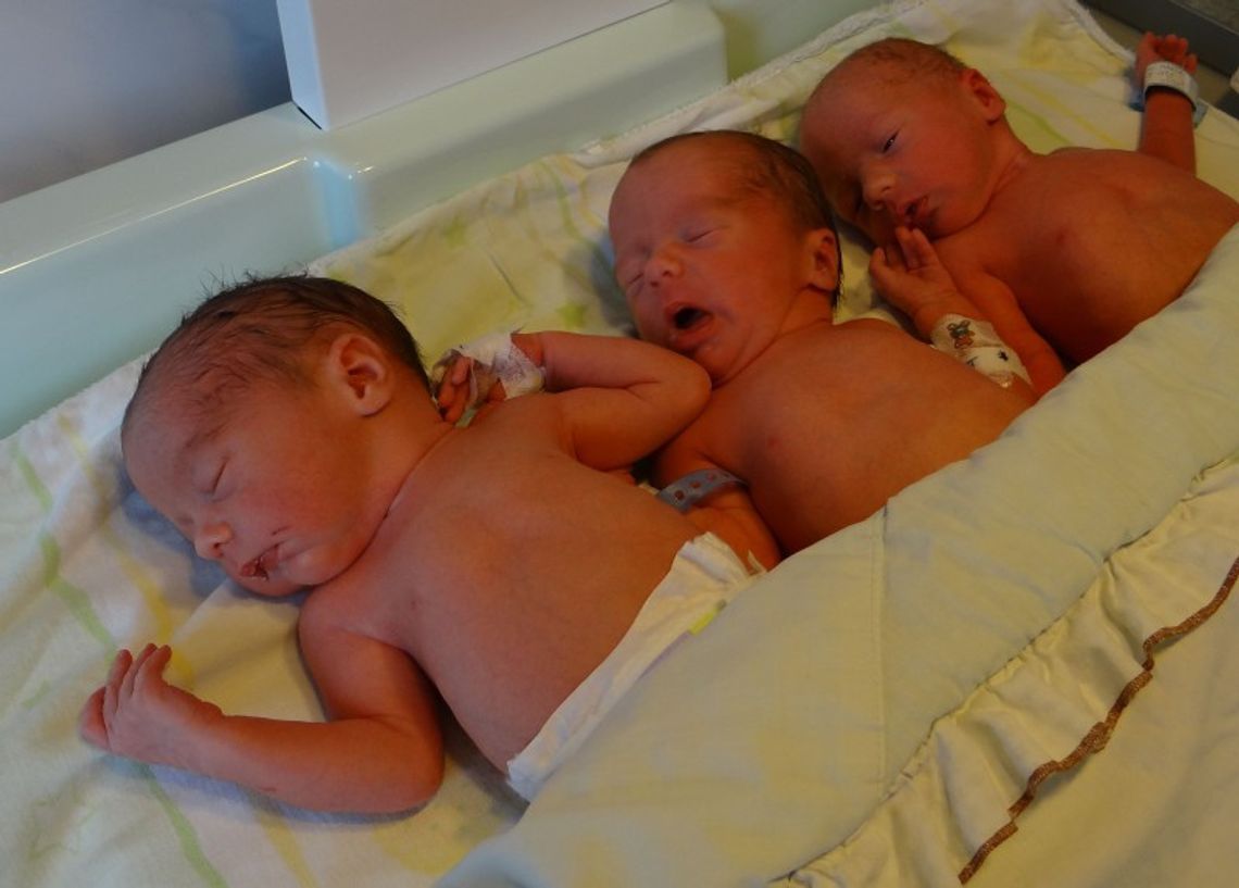 Wybierz imię i działaj