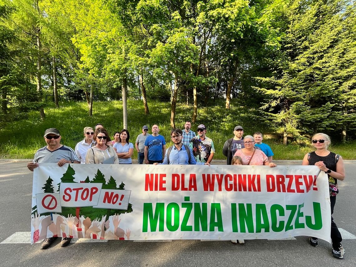 Wycinka drzew przy szpitalu. Mamy stanowisko Dyrekcji Wycinka drzew przy szpitalu. Mamy stanowisko Dyrekcji