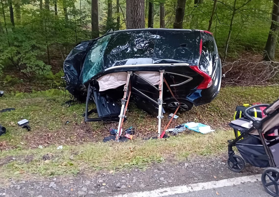 Wypadek w gminie Braniewo. Do szpitala w Elblągu trafiło dziecko i kobieta