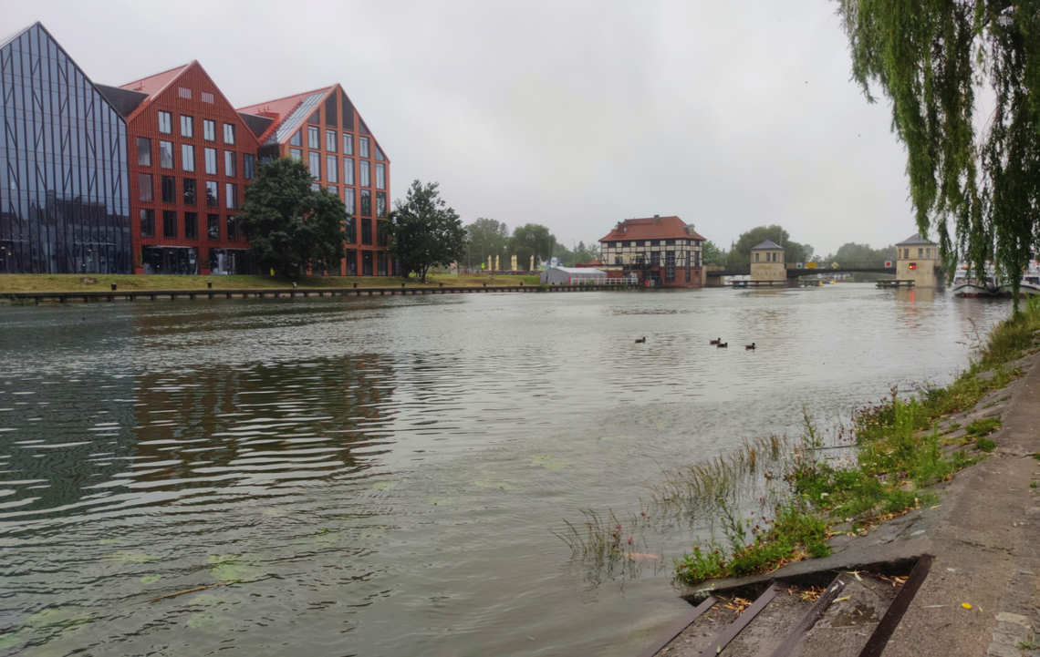 Wysoki poziom rzeki Elbląg [ZDJĘCIA]