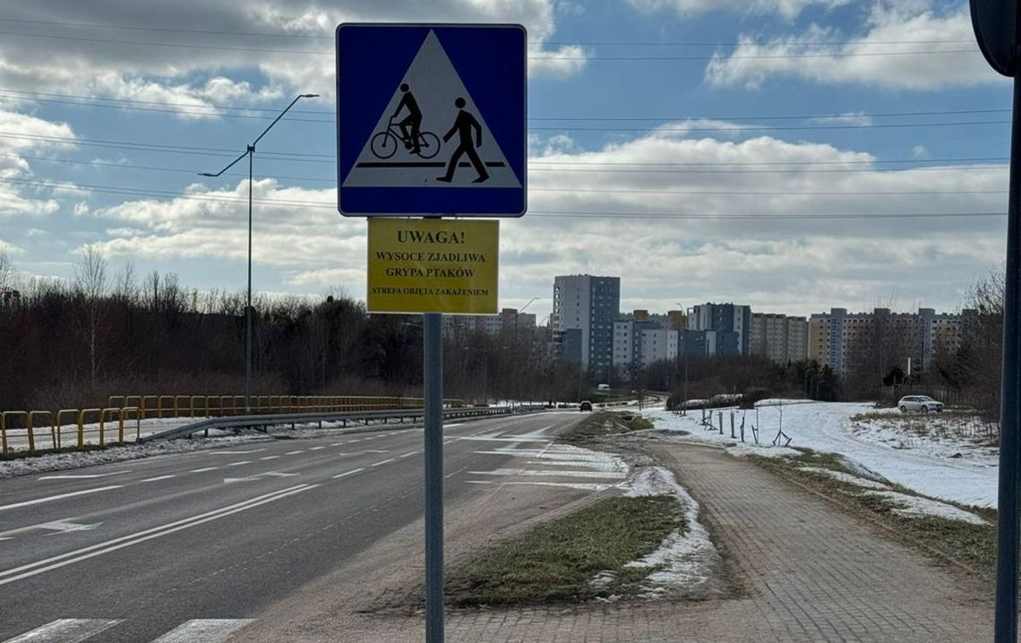 Wyznaczono strefę objętą zakażeniem wysoce zjadliwą grypą ptaków