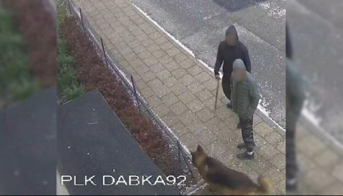 York zagryziony na Dąbka. Jak sprawę zakończyła policja?